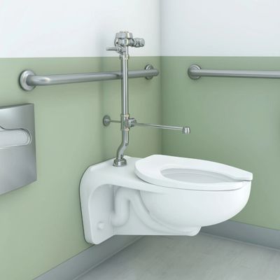 Wall-mounted toilet with Sloan manual flushometer in an accessible restroom featuring stainless steel grab bars and light green and white walls.