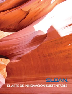 a rock formation in warm tones and natural textures, symbolizing strength, beauty, and harmony with the environment. With the tagline “The Art of Sustainable Innovation,” it reflects Sloan’s philosophy of blending design, technology, and sustainability to create environmentally conscious solutions.