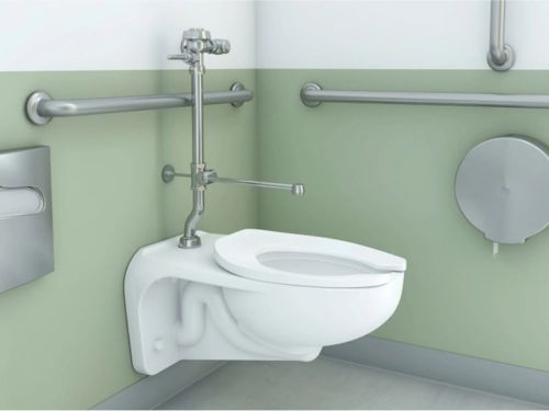 Sanitario mural con válvula de descarga manual y barras de apoyo en la pared, diseñado para cumplir con los estándares de accesibilidad en entornos de salud.