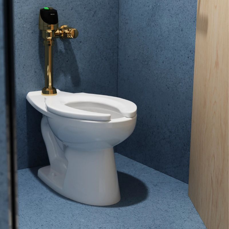 Toilet with Sloan automatic flushometer in gold finish installed in a stall with dark blue walls and light wood partition.